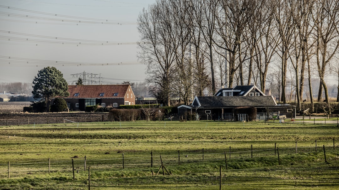 Het bijzondere leven van Jet de Nijs: zorg, liefde en zichtbaarheid